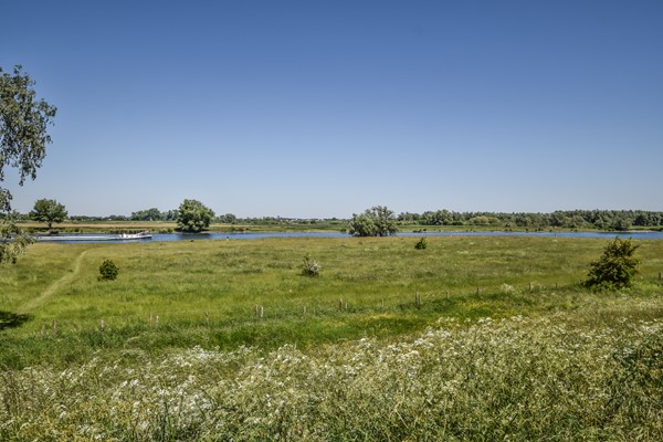 Medium property photo - Schout van Doernestraat 30, 5237 WH 's-Hertogenbosch